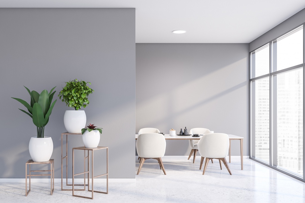 Natural Light in Dining Room