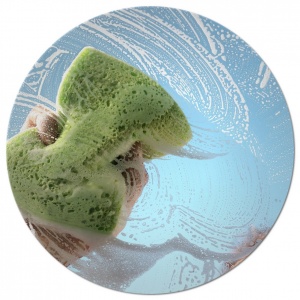 sponge-cleaning-soap-suds-round