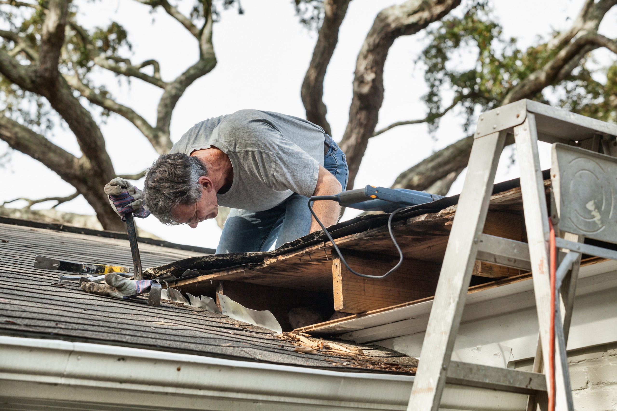 Most Common Types of Roof Leaks