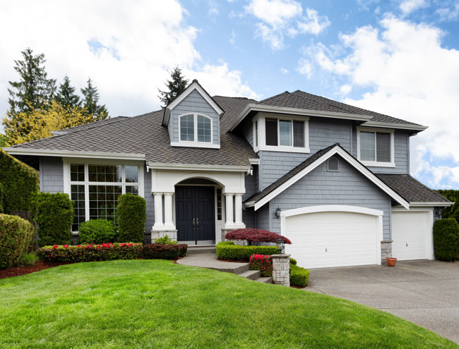 Window & Door Replacement Services
